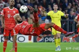 欧宝-湖人活塞全场回放