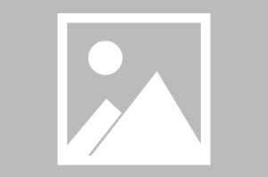 欧宝app-王楚钦能否杀回CBA四强？一场竞技哲学的深度对话，王楚钦能否杀回巅峰？一场竞技哲学的深度对话